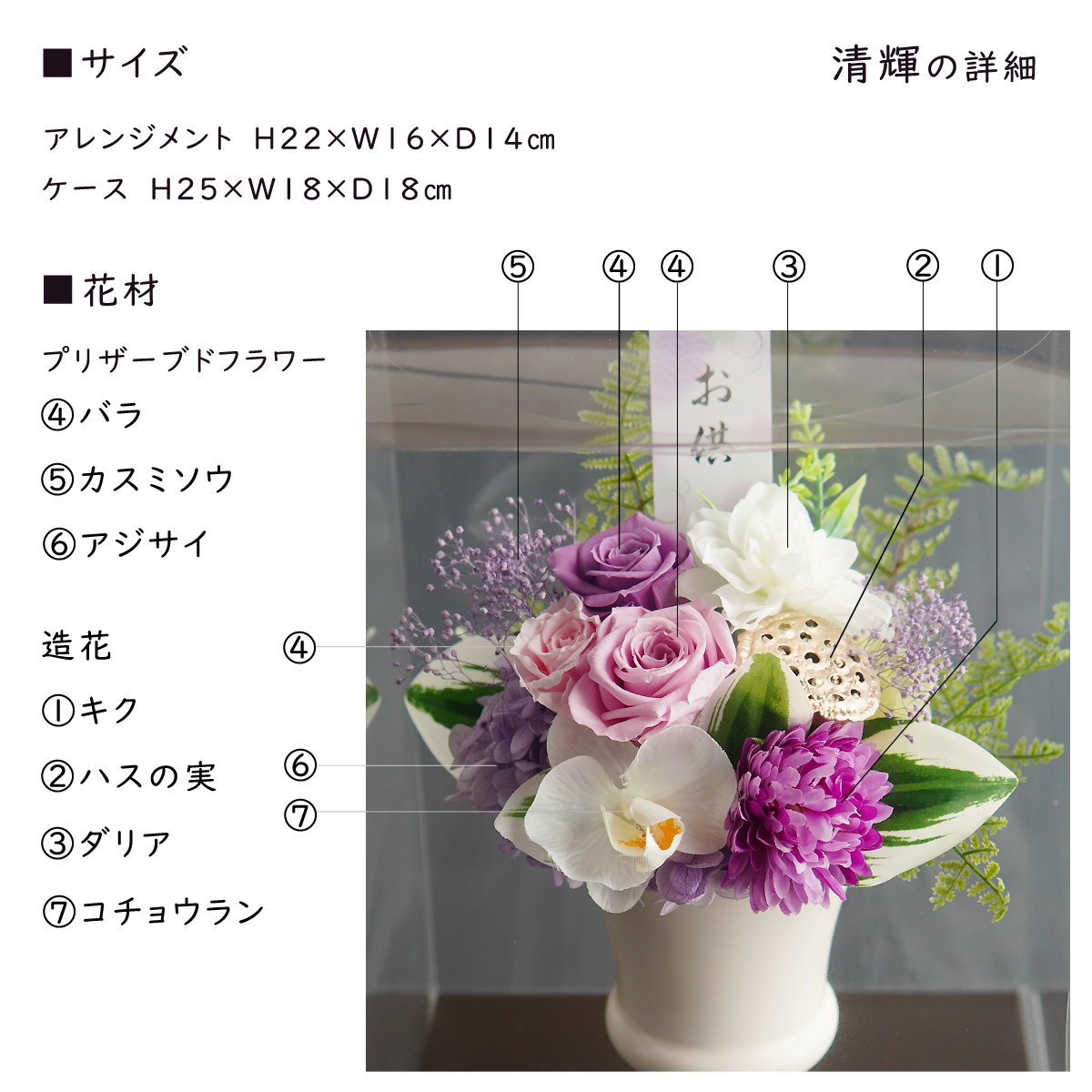 清輝4