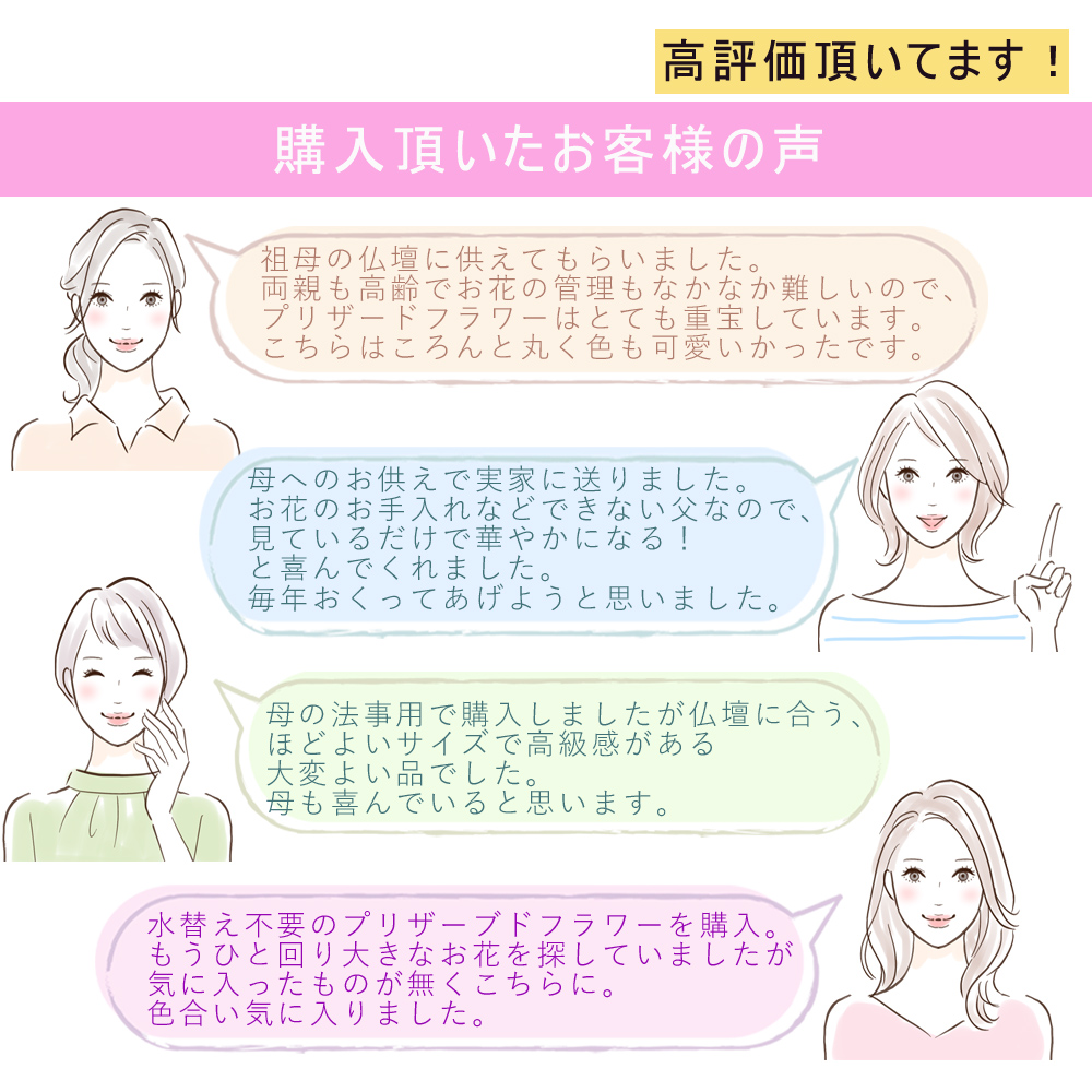 レビュー