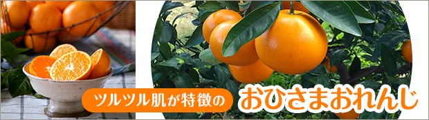 大原商店 亀ちゃんみかん（小玉みかん） - 制作実績- ATELIER