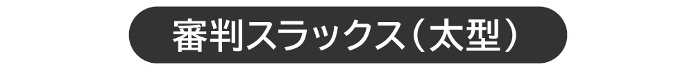 太型の商品ページへ