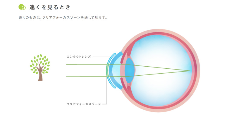 2ウィークメニコンDUO