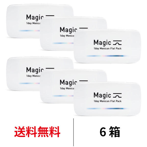 メニコン ワンデーメニコンマジック [6箱] 1箱30枚入 1日交換 magic ワンデー 1day コンタクト レンズ クリアレンズ menicon 送料無料