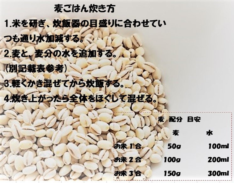 メイルオーダー 麦 大麦 950g 国内産 もっちもち大麦 1袋 α化処理 国産 チャック付き 500円 ワンコイン 雑穀米 雑穀 1kg以下  メール便 ポイント消化 materialworldblog.com