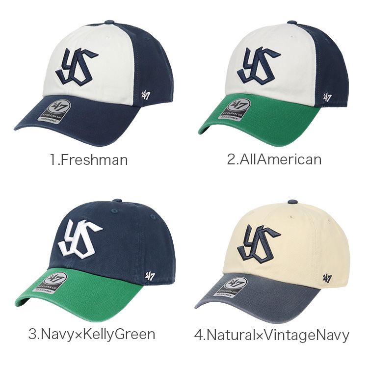 東京ヤクルトスワローズ 実使用 支給品 キャップ 帽子 ヤクルトスワローズ キャップ - プロ野球 | セレクション公式