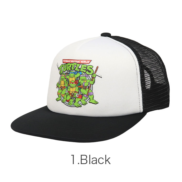 flturtlesmesh-2_1.jpg
