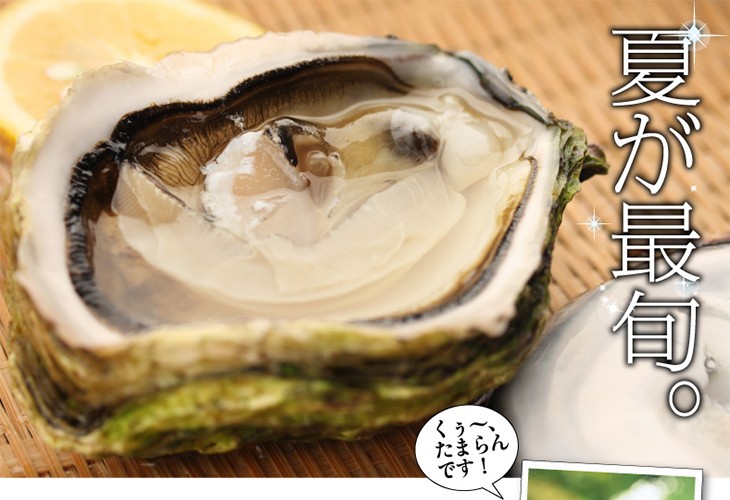 九十九島産 殻付き岩牡蠣 お手軽2kg 12個前後 送料無料 夏の風物詩 開け方ガイド付き 生食用 お中元 ギフト q 生牡蠣 マルモ水産 Ik 02 九十九島からのおくりもの 通販 Yahoo ショッピング