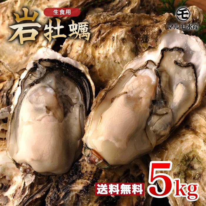 他サイズ紹介 殻付き岩牡蠣 どっさり5kg