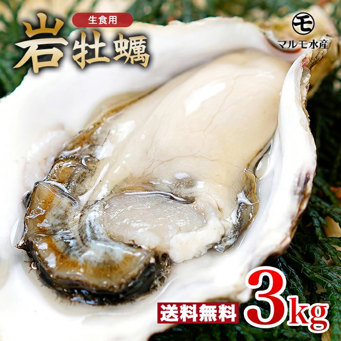 他サイズ紹介 殻付き岩牡蠣 たっぷり3kg