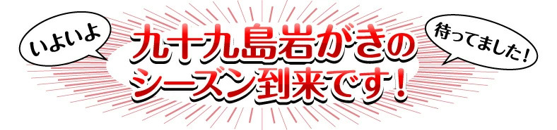 シーズン到来