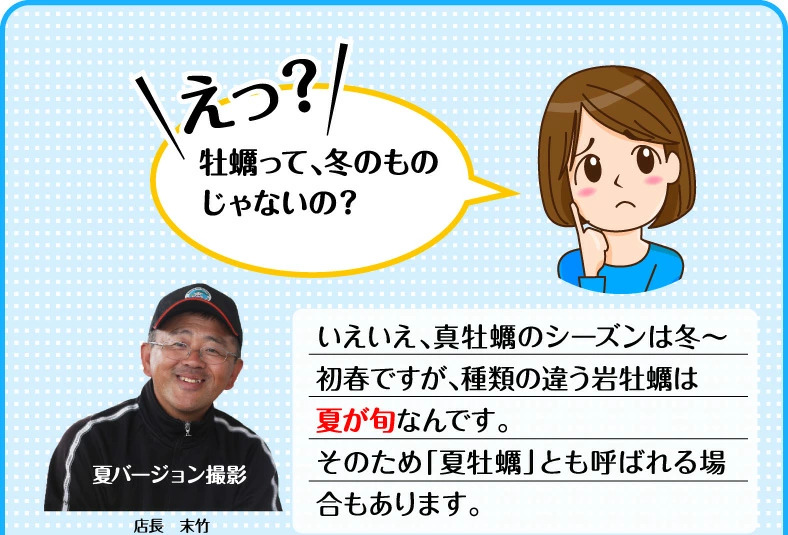 疑問 牡蠣の旬は冬？