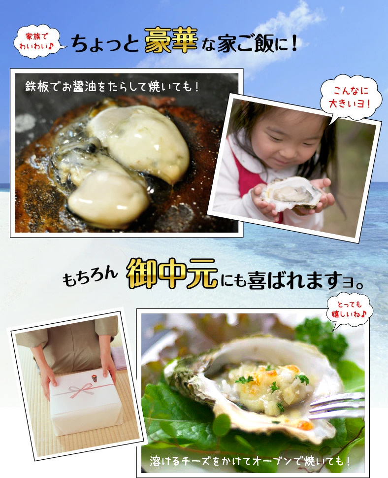 提案 豪華な家ご飯 お中元