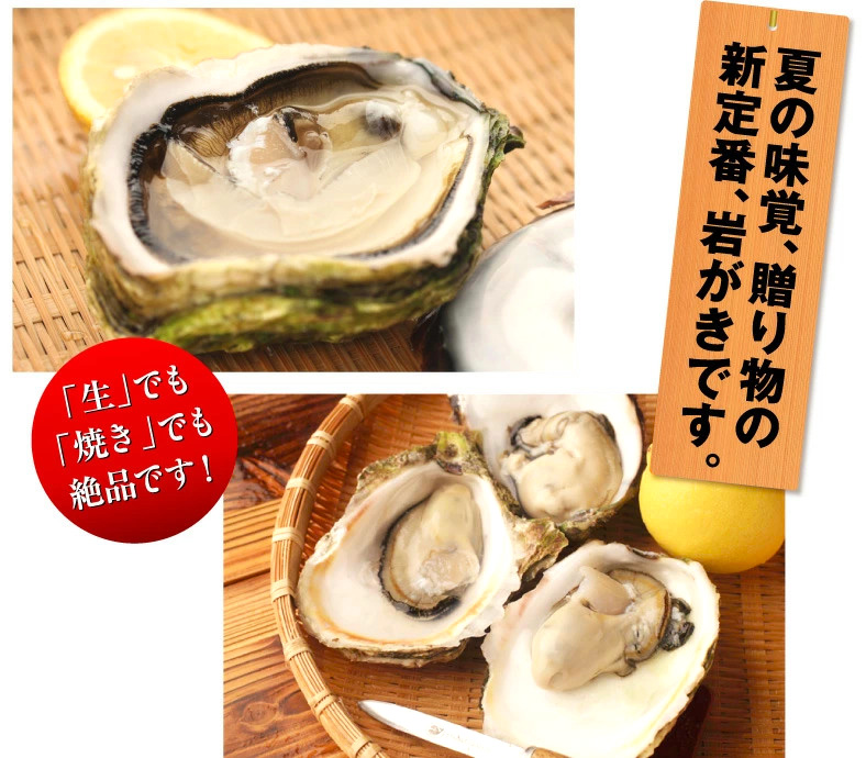 夏の味覚 贈り物の新定番 岩がき