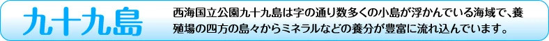 九十九島 説明