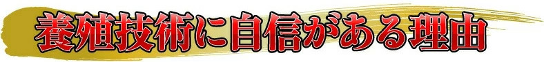 養殖技術に自信の理由