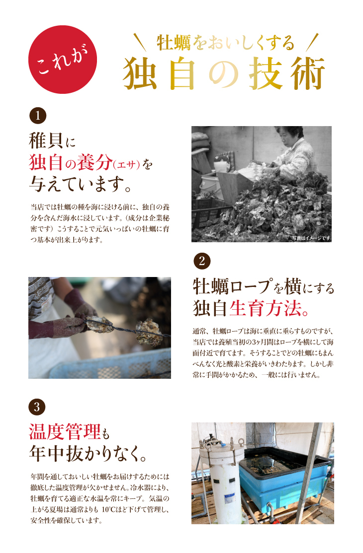 長崎県産 佐世保 ギフト お祝い 送料無料 35個前後 66%以上節約 九十九島かき 家族4人でも大満足 殻付き牡蠣2kg 生食OK 長崎県産 佐世保 ギフト お祝い 送料無料 35個前後 66%以上節約 九十九島かき 家族4人でも大満足 殻付き牡蠣2kg 生食OK