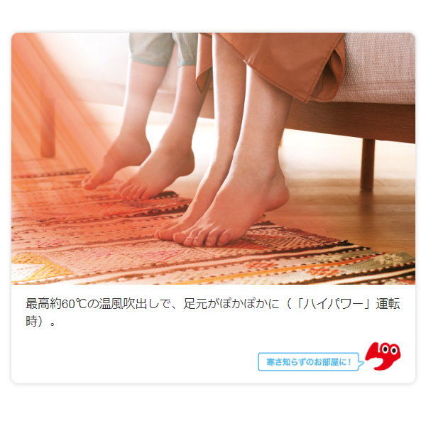 商品説明