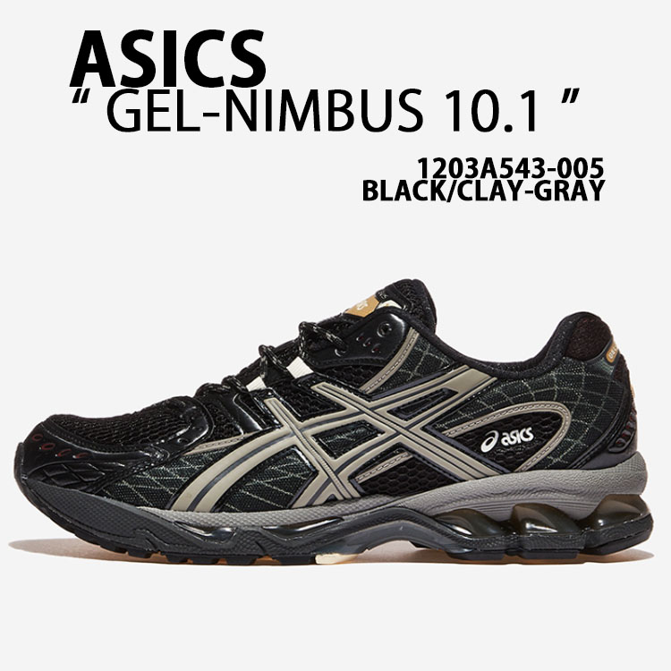 靴 ASICS GEL-NIMBUS 10.1 B/G.S 28.5 as-1203a543005.jpg
