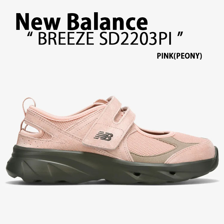 nb-sd2203pi.jpg