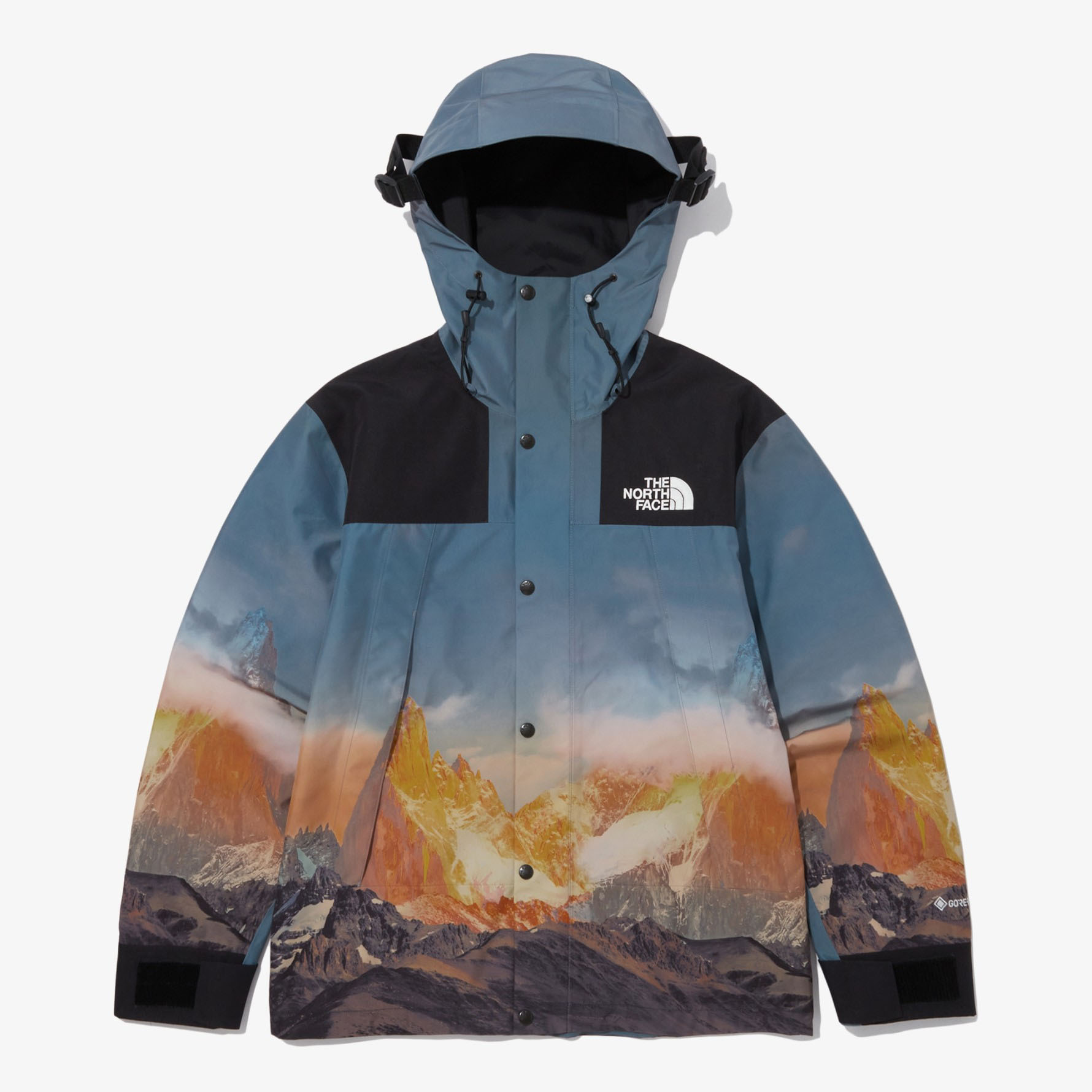 THE NORTH FACE ノースフェイス マウンテンパーカー ゴアテックス GTX MOUNTAIN VISTA JACKET マウンテンジャケット GORE-TEX ビスタジャケット NJ2GP60A/B