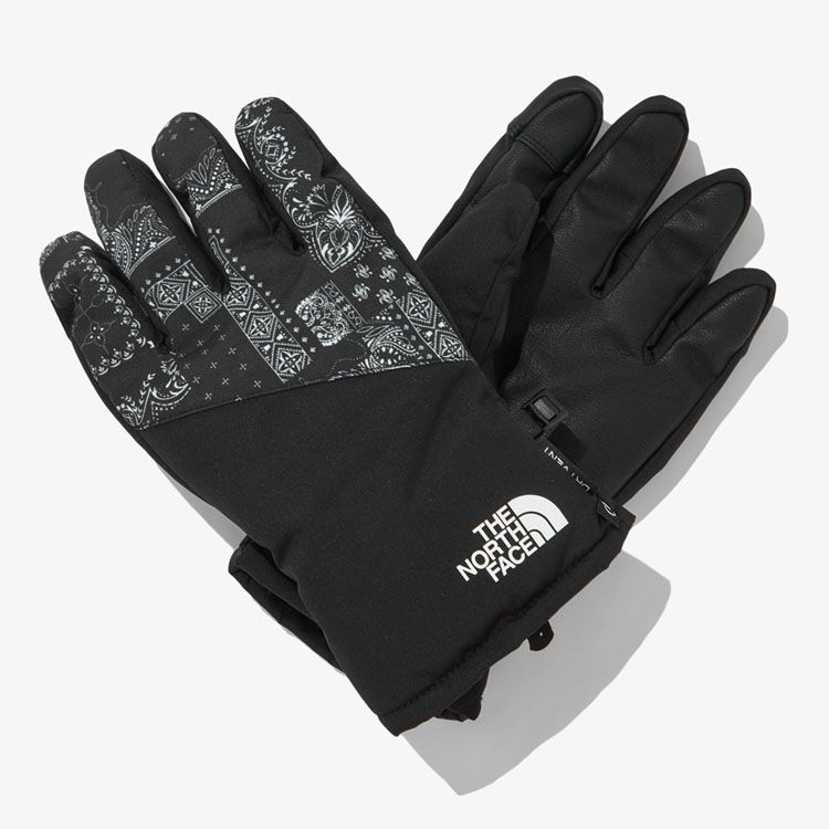 THE NORTH FACE ノースフェイス 手袋 DRYVENT TECH GLOVE ドライベン...