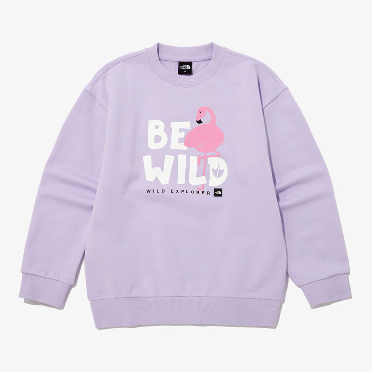THE NORTH FACE ノースフェイス キッズ スウェット K'S ANI-MATE SWEATSHIRTS アニマルメイト スウェットシャツ 長袖 トレーナー 子供用 NM5MP03S/T/U/Vの画像