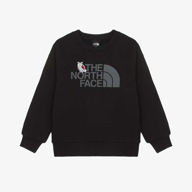 THE NORTH FACE ノースフェイス キッズ トレーナー K'S ANI-MATE SWEATSHIRTS アニ-メイト スウェットシャツ 長袖 ロゴ 男の子 女の子 子供用 NM5MR55S/T/U/V_1