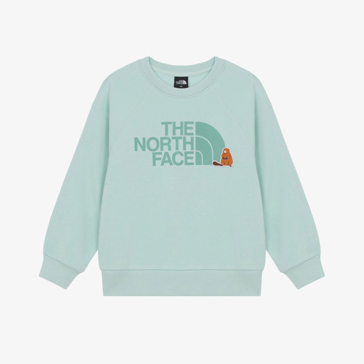 THE NORTH FACE ノースフェイス キッズ トレーナー K'S ANI-MATE SWEATSHIRTS アニ-メイト スウェットシャツ 長袖 ロゴ 男の子 女の子 子供用 NM5MR55S/T/U/V_3
