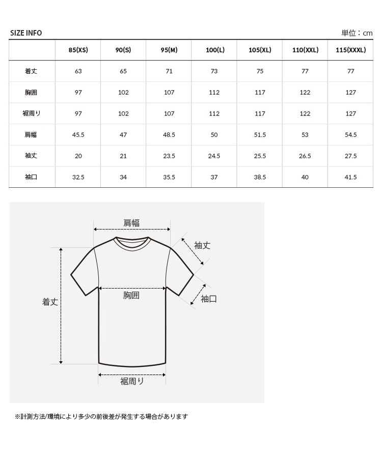 【THE NORTH FACE】TNF BUSAN EDITION S/S R/TEE★送料・関税込 THE NORTH FACE TNF BUSAN EDITION S/S R/TEE 4FT646 (THE NORTH