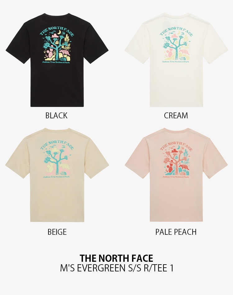 THE NORTH FACE ノースフェイス Tシャツ M'S EVERGREEN S/S R