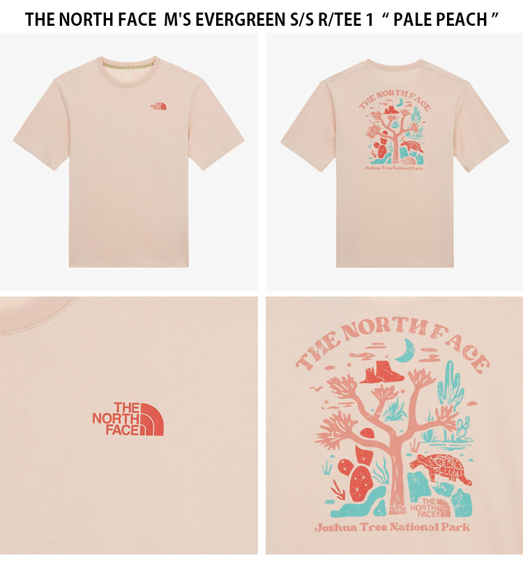 [ザノースフェイス] エバーグリーンスリーブティー NT7UR51 THE NORTH FACE ノースフェイス Tシャツ M'S EVERGREEN S/S R