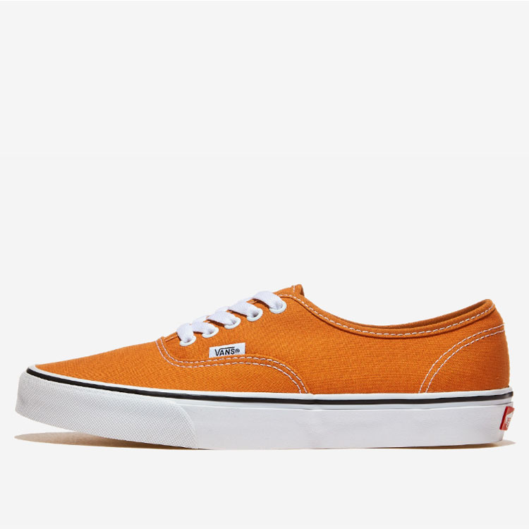 VANS（ヴァンズ） バンズ スニーカー AUTHENTIC COLOR THEORY
