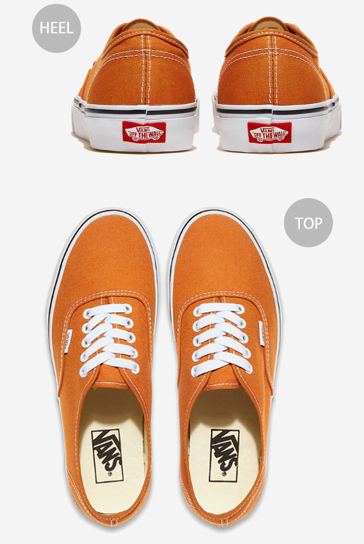 VANS（ヴァンズ） バンズ スニーカー AUTHENTIC COLOR THEORY