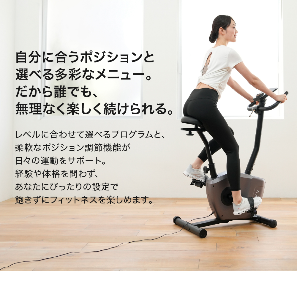 ALINCO（アルインコ） フィットネスバイク エアロ プログラムバイク