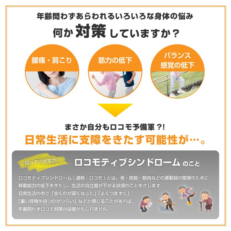 新品・未開封【アルインコ】バランスウォーク　筋力強化、体幹トレーニングに… 楽天市場】【期間限定エントリーでポイント5倍】懸垂マシン