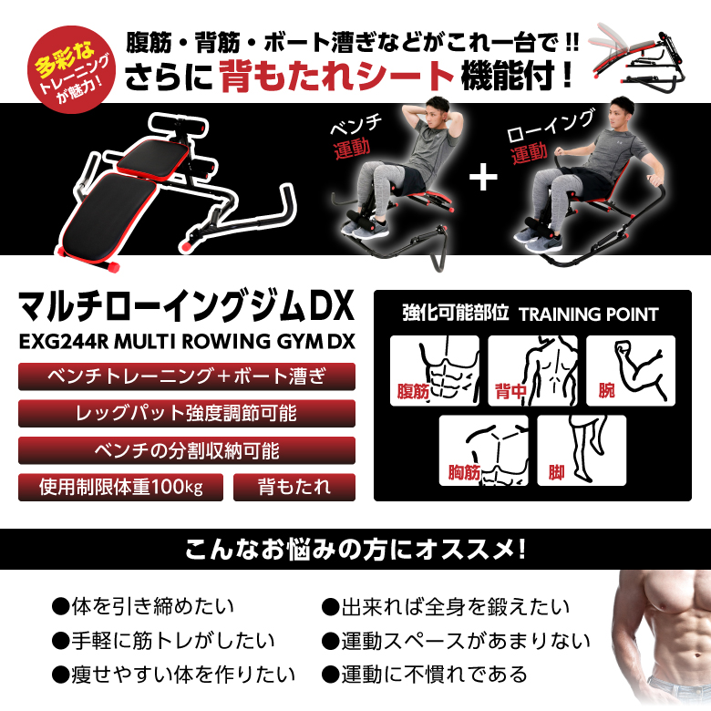 ALINCO アルインコ マルチローイングジムDX レッド EXG244R