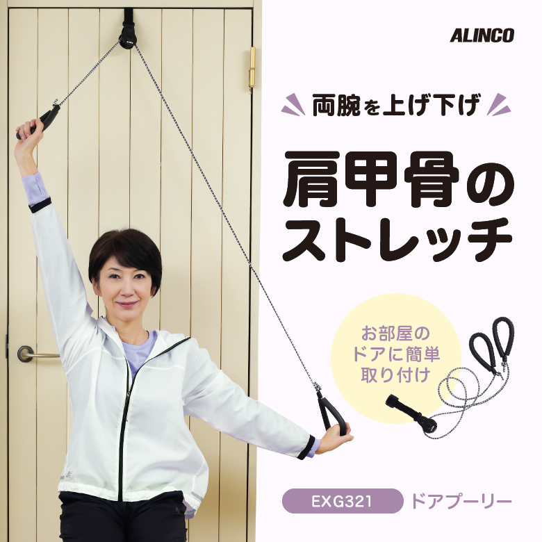 ALINCO（アルインコ） ドアプーリー EXG321 肩甲骨 背筋 腕 肩 背中