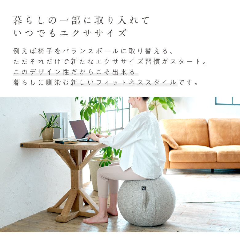 バランスボール シェリア 55cm/MVS355