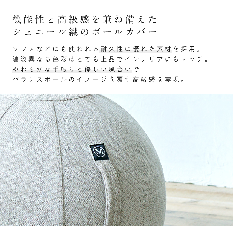 バランスボール シェリア 55cm/MVS355