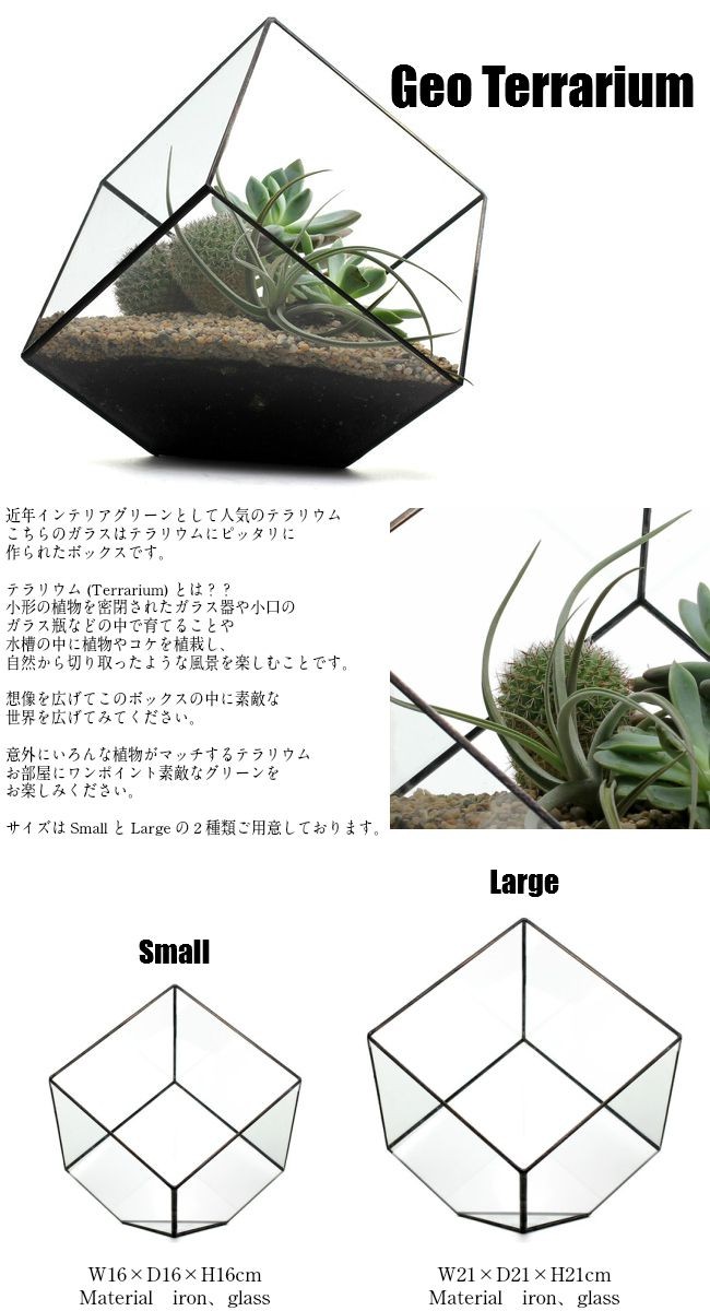 Geo Terrarium Small ジオテラリウムスモール 公式ショップ テラリウム 観葉植物 ガラス ブラント グリーン 植物 Geo Terrarium Small ジオテラリウムスモール 公式ショップ テラリウム 観葉植物 ガラス ブラント グリーン 植物