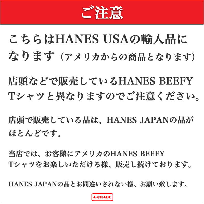 クリアランスセール 2点で200円、4点で400円OFFクーポン】 ヘインズ ビーフィー ポケット HANES BEEFY ポケット USA  アメリカ企画 ホワイト 白 : han-poket : A-GRADE - 通販 - Yahoo!ショッピング