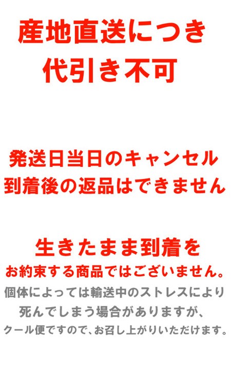 産地直送】生きたまま発送！川魚の女王岩魚（イワナ/いわな）鮮魚《養殖》塩焼きに最適【おためしの10匹】 送料無料 :iwana10:熊人Yahoo!店  - 通販 - Yahoo!ショッピング