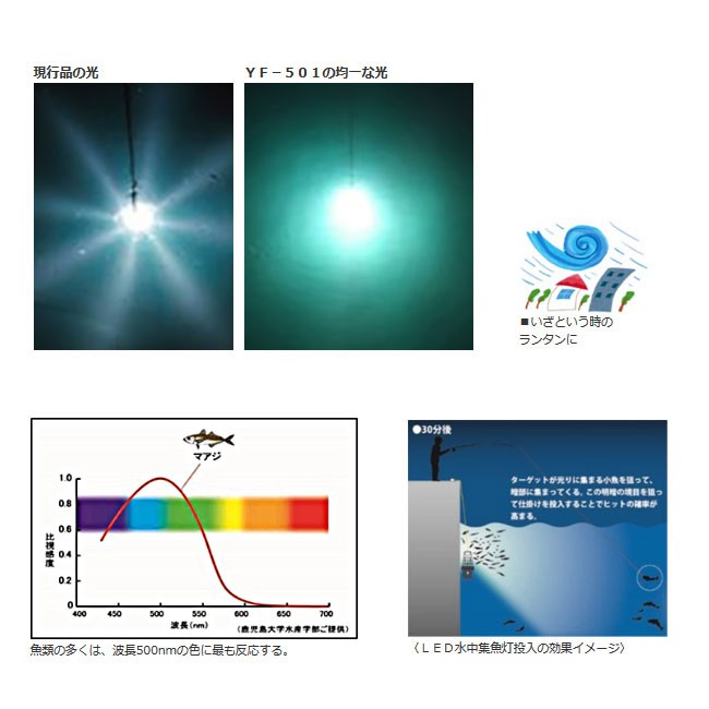HAPYSON/ハピソン) 高輝度LED水中集魚灯 YF-501 192911 集魚