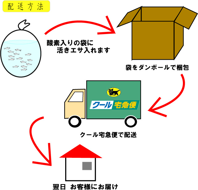 モロコ