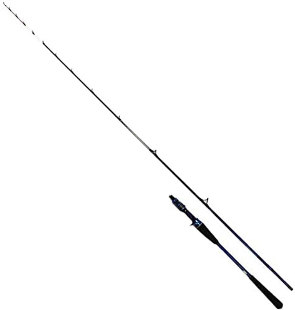 国内正規品(DAIWA ダイワ) 05500425 タチウオロッド (069581) 極鋭タチウオテンヤ SP73-190AGS 船竿 ロッド、釣り竿 