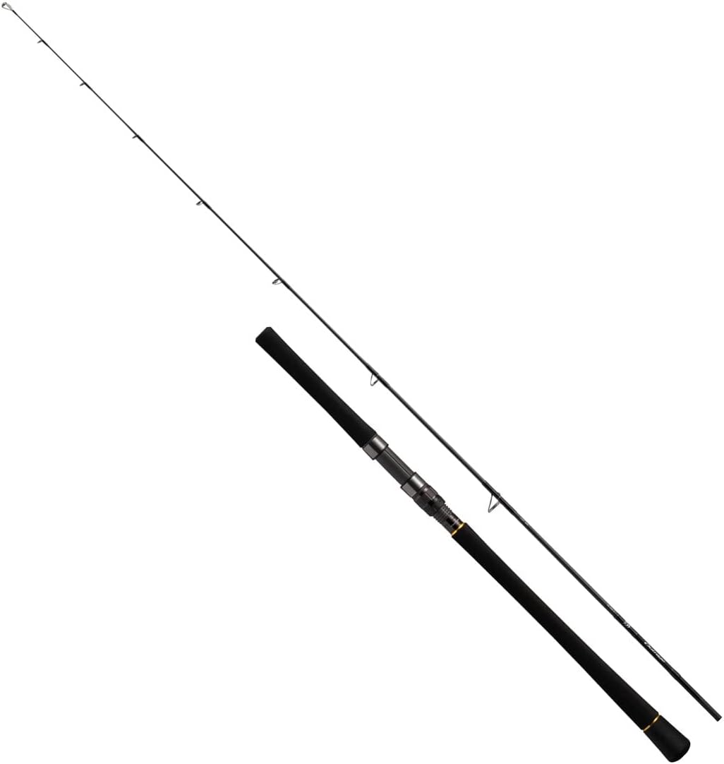 Outrage BR C80-4 ショアジギングロッド DAIWA（ダイワ） OUTRAGE BR C80-4 (254802) キャスティング : 熊人