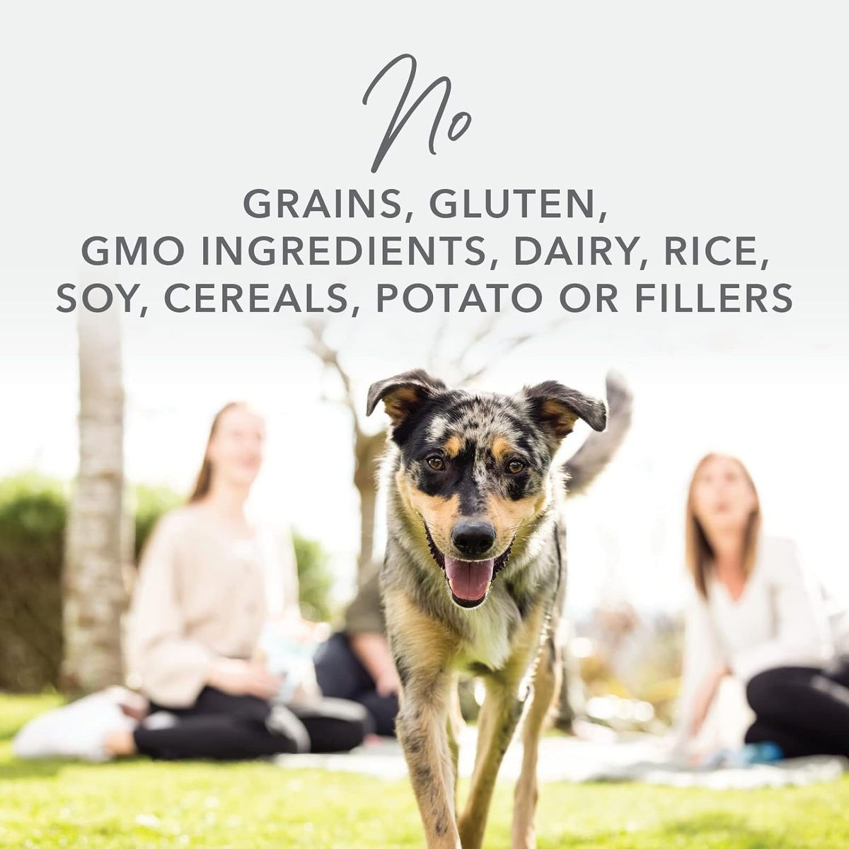 リニューアル前】ケーナインナチュラル K9 Natural フリーズドライ