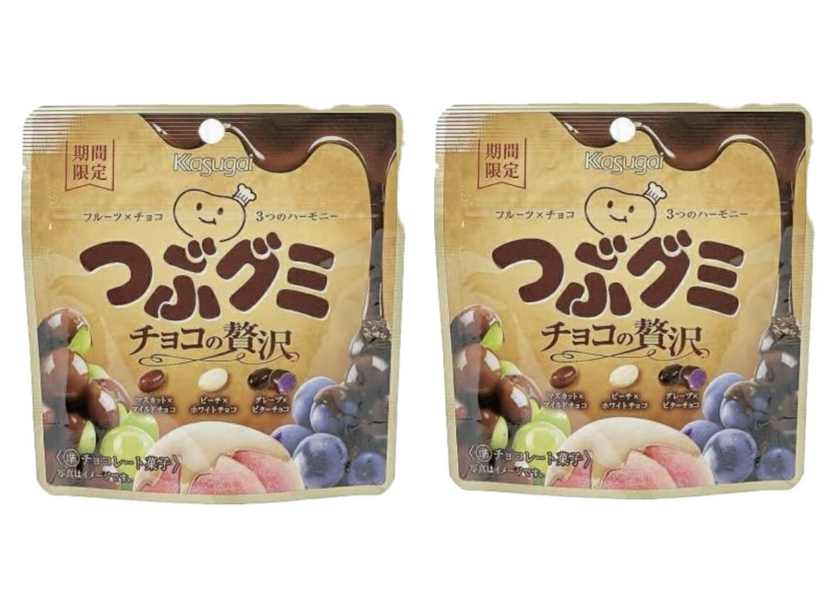 まとめ買い2袋セット】 春日井製菓 Kasuga つぶグミ チョコの