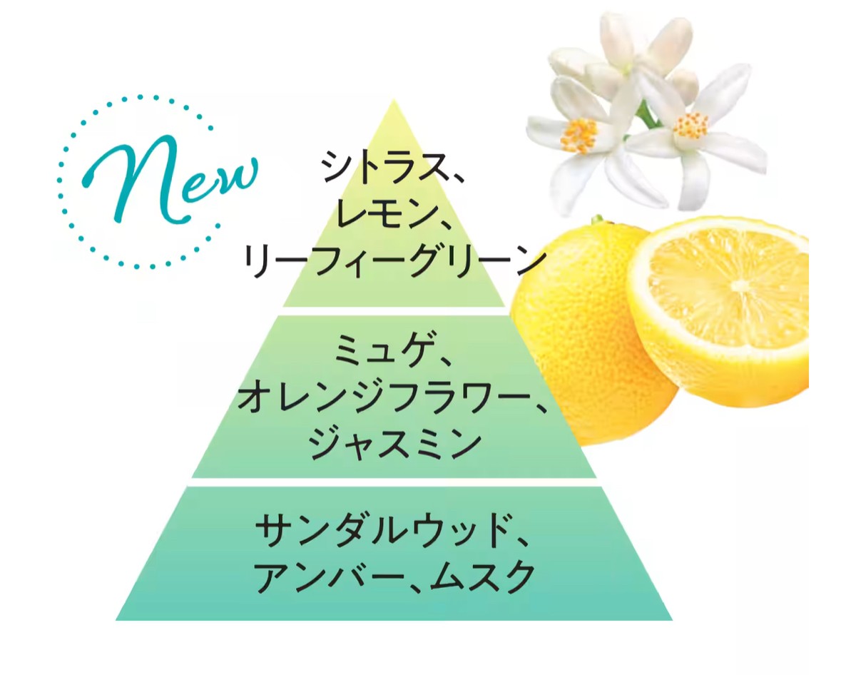 FADRIC　HOTEL 柔軟剤　アクアティックニューヨークの香り１袋(800mL)×２袋　つめかえ用セット　神奈川倉庫 |  | 05