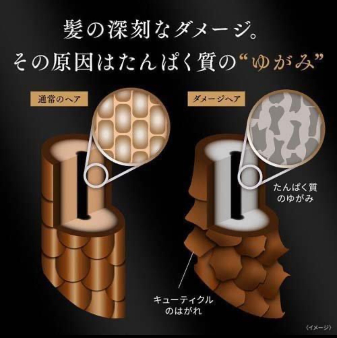 セット】ラックス バイオフュージョン ダメージディフェンス