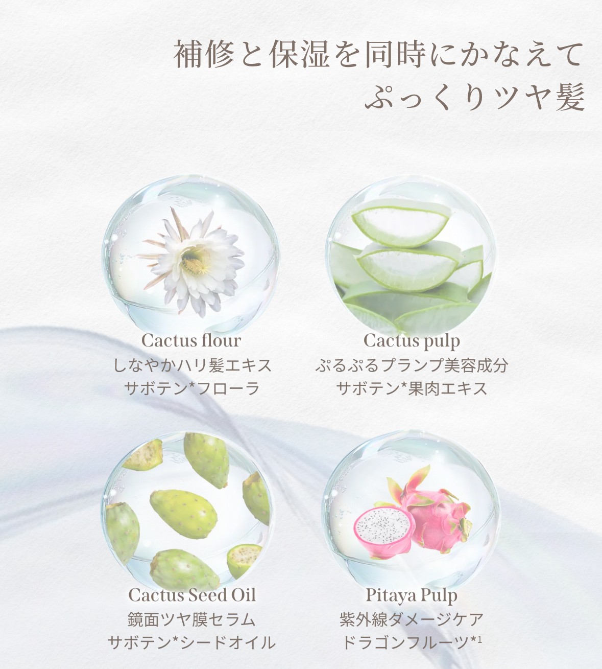 サボンドサボタ モイストプランプ シャンプー本体1本（420ml）×ヘア